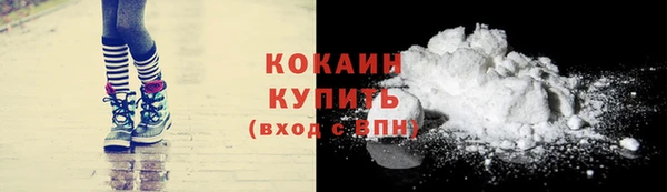 дживик Верея