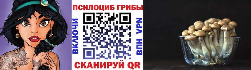 Купить где  Губкин  Галлюциногенные грибы Magic Shrooms 